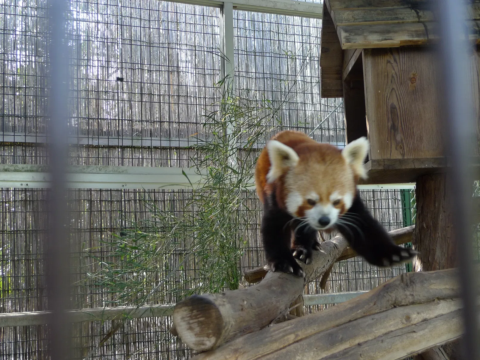 Atagawa Tropical & Alligator Garden