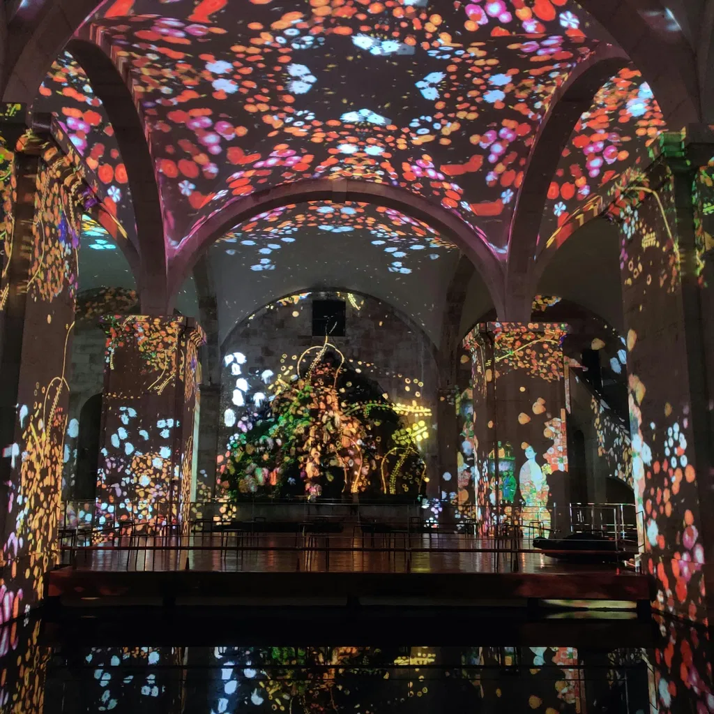 Beeindruckender Monet und brillanter Klimt