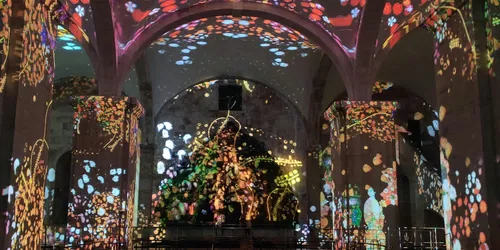 Indrukwekkende Monet & Briljante Klimt