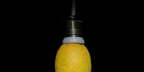 Armando Testa : Cucù Tetè