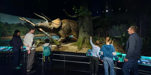 Impact: Het einde van het dinosaurustijdperk