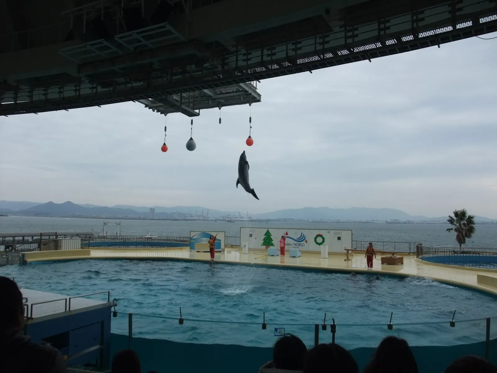 Marine World Uminonakamichi