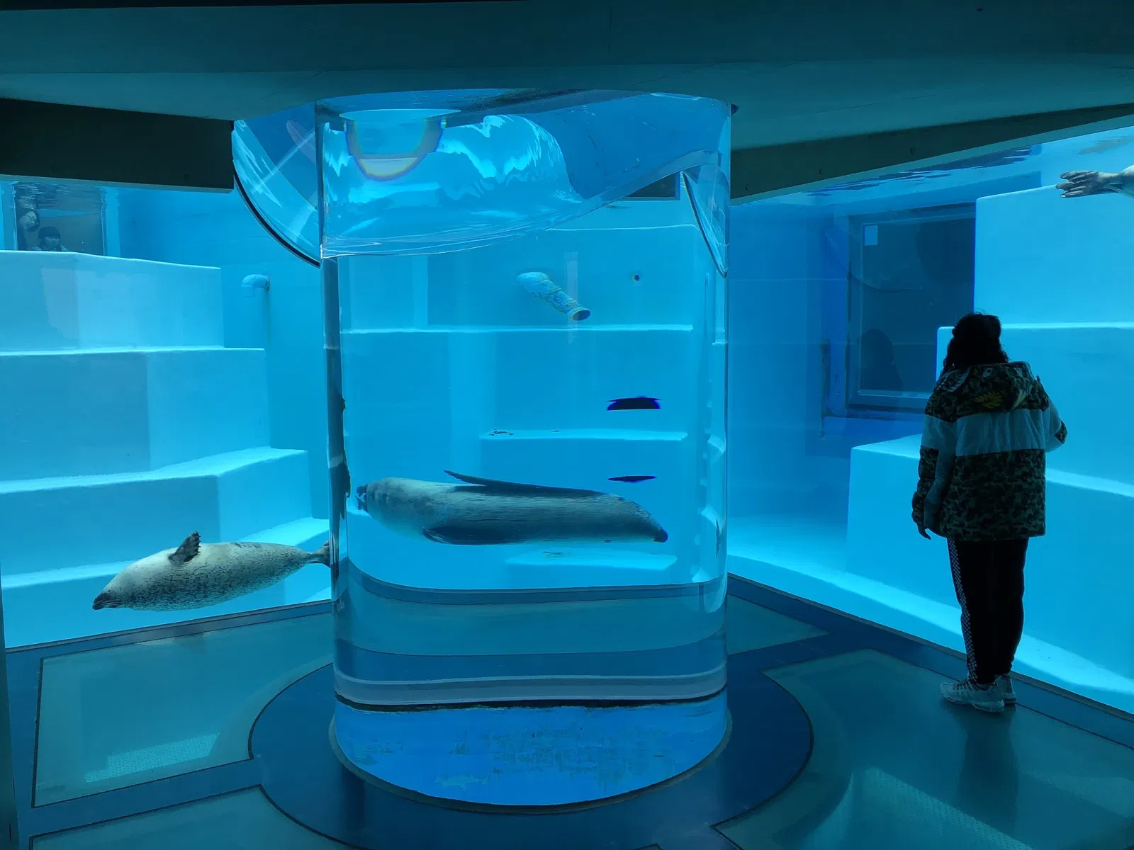 Marine World Uminonakamichi