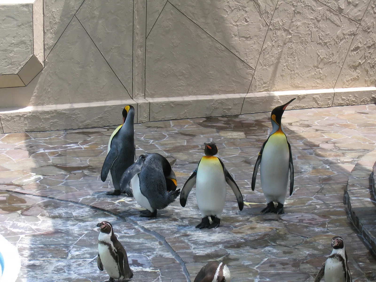 Fukuoka Municipal Zoo and Botanical Garden