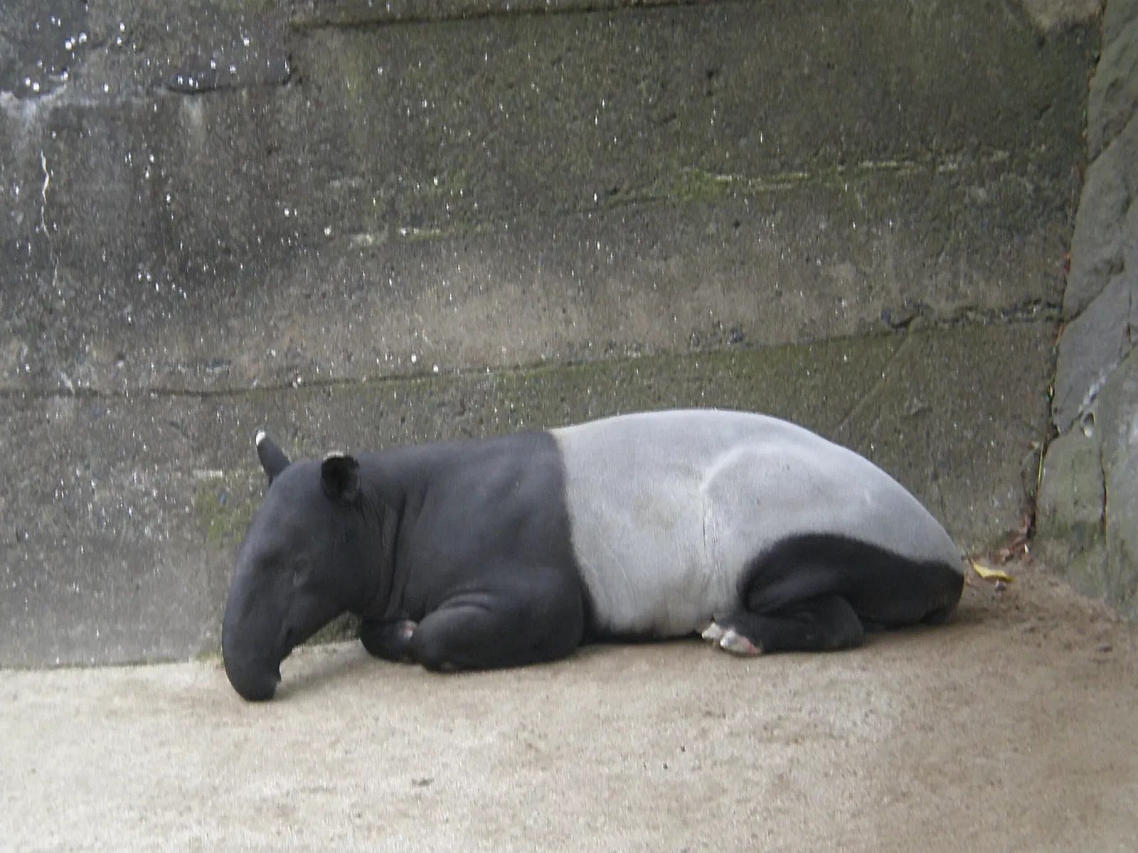 Fukuoka Municipal Zoo and Botanical Garden