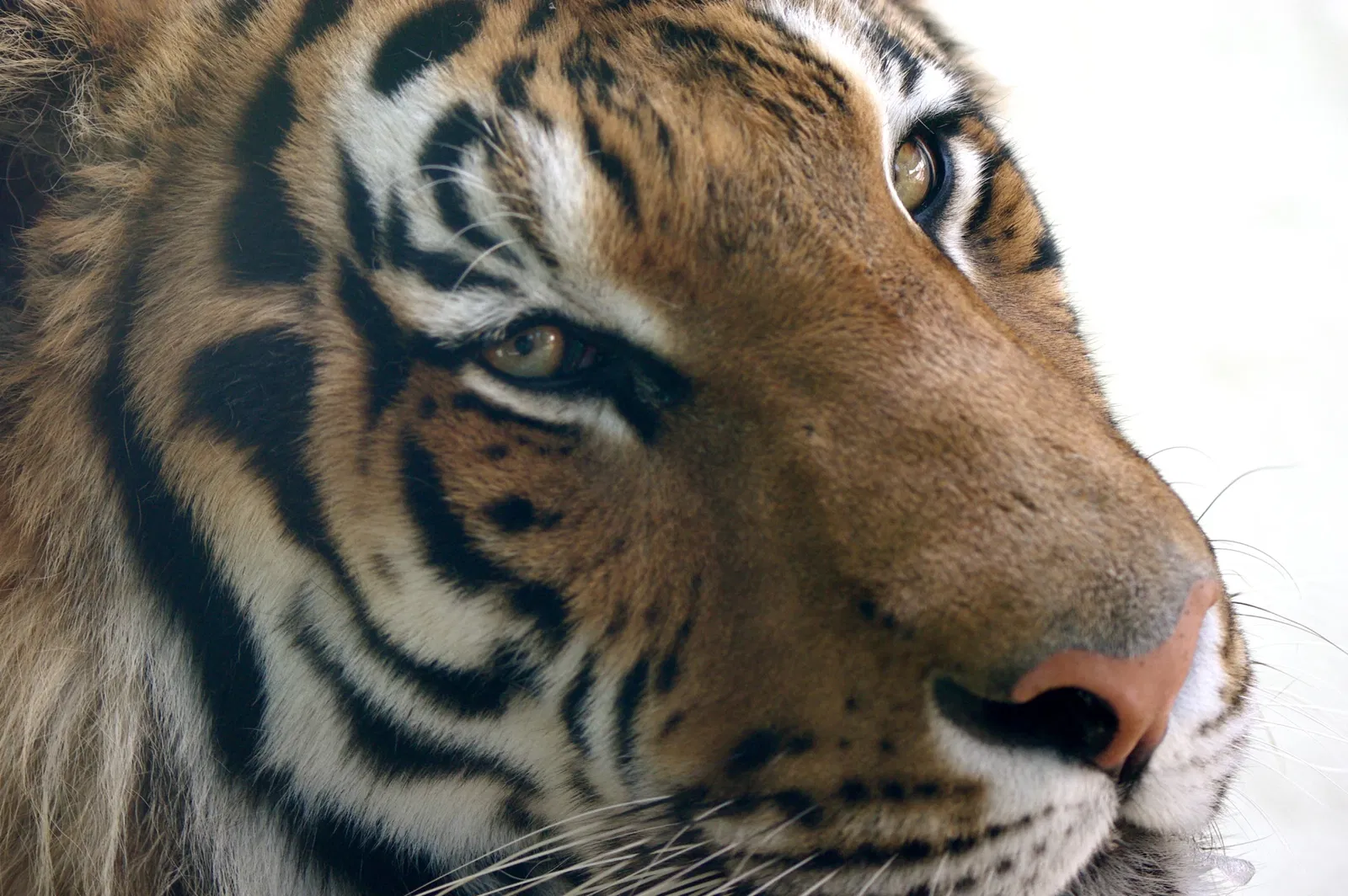 Fukuoka Municipal Zoo and Botanical Garden