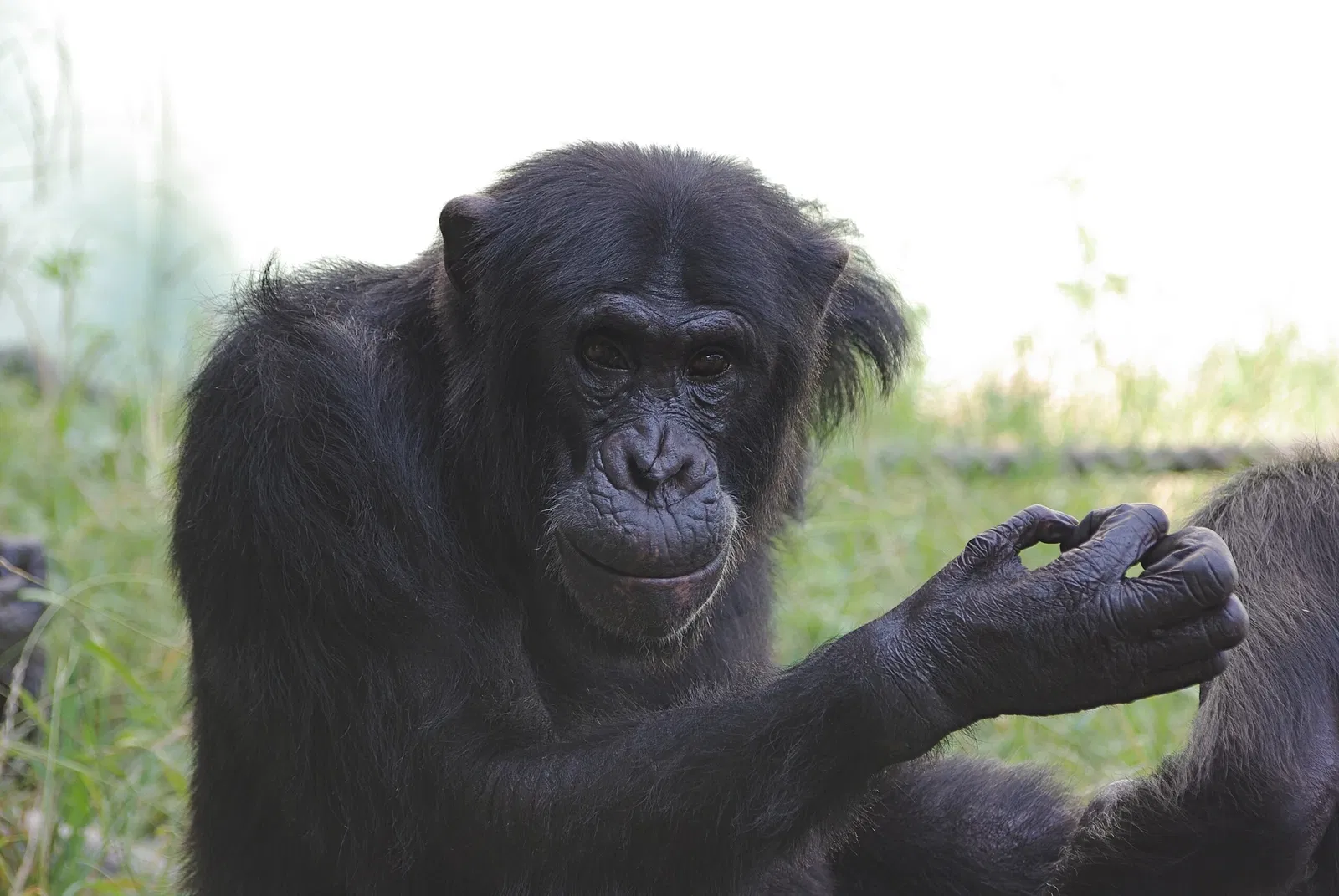 Fukuoka Municipal Zoo and Botanical Garden
