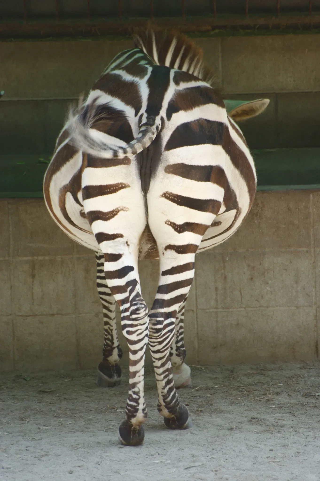 Fukuoka Municipal Zoo and Botanical Garden