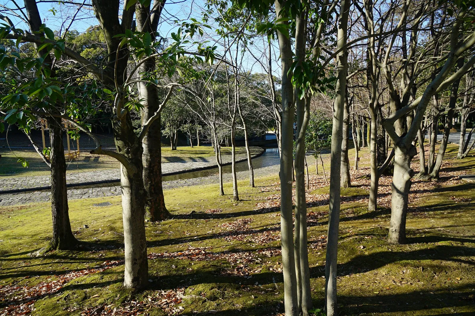 The Museum of Fine Arts, Gifu