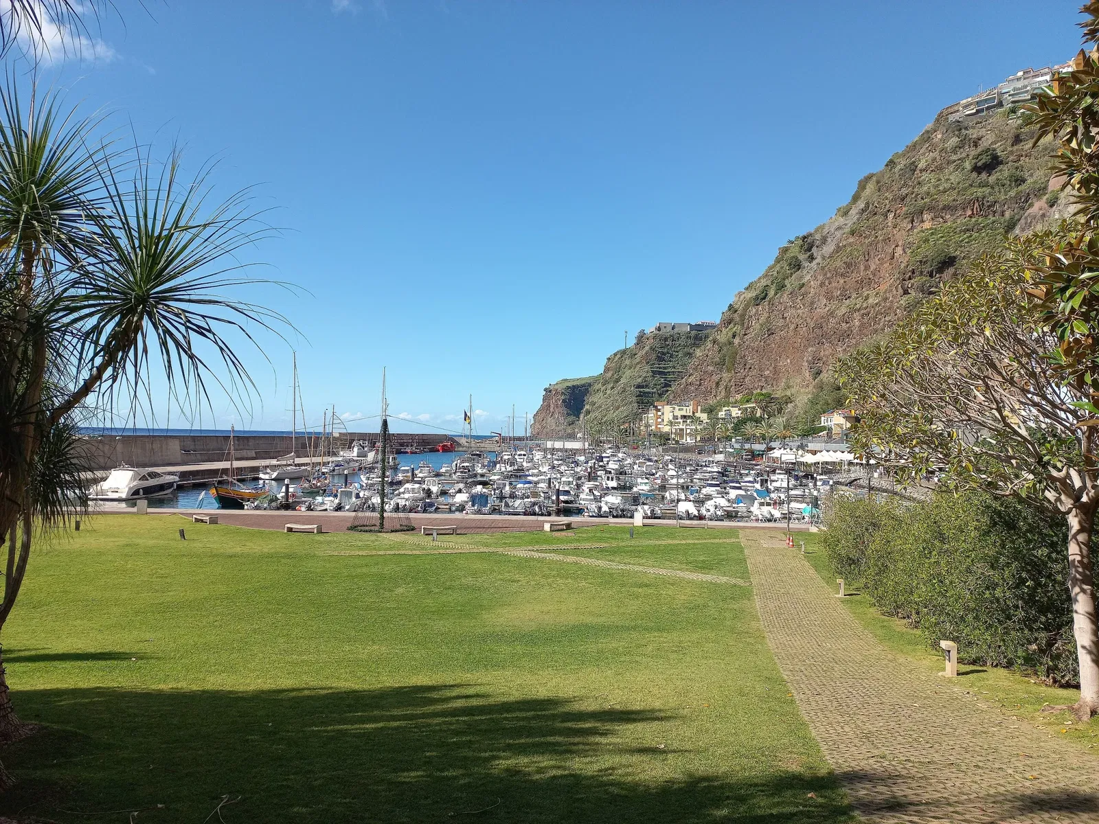 Centro das Artes - Casa das Mudas