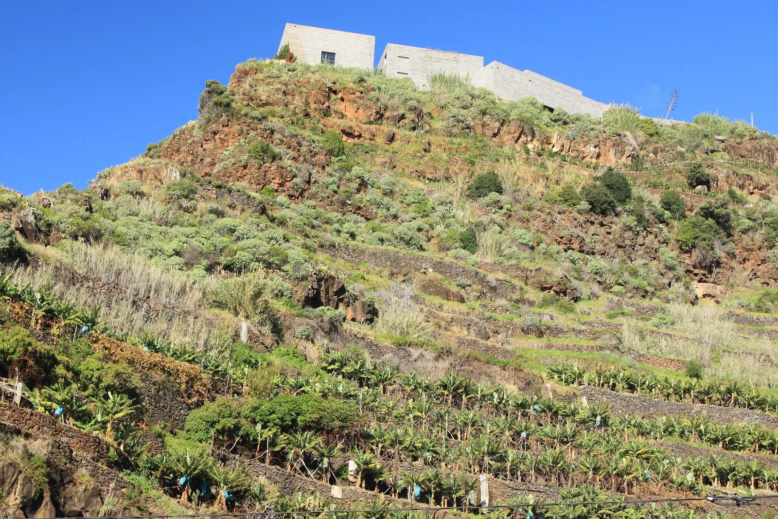 Centro das Artes - Casa das Mudas