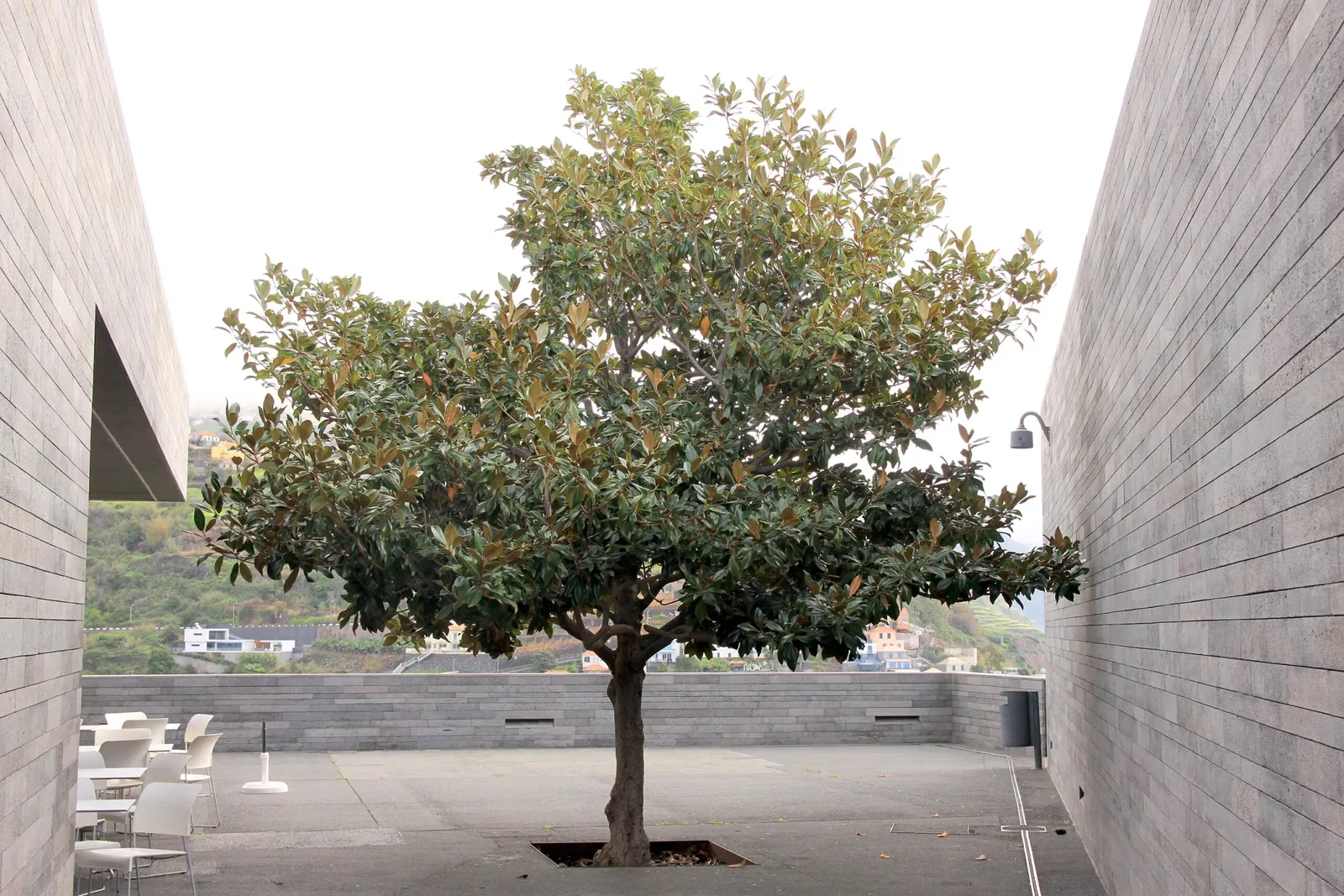Centro das Artes - Casa das Mudas