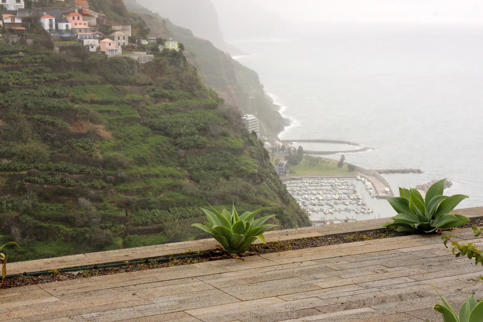 Centro das Artes - Casa das Mudas
