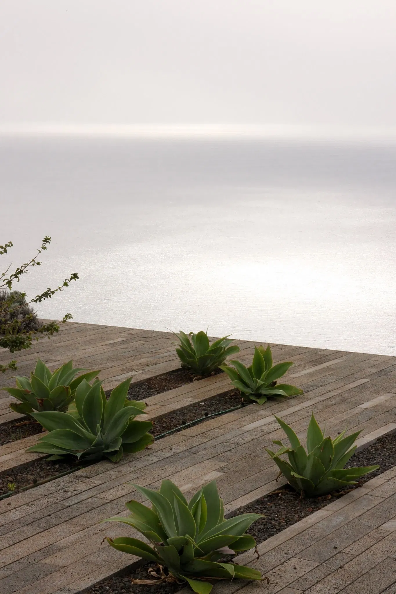 Centro das Artes - Casa das Mudas