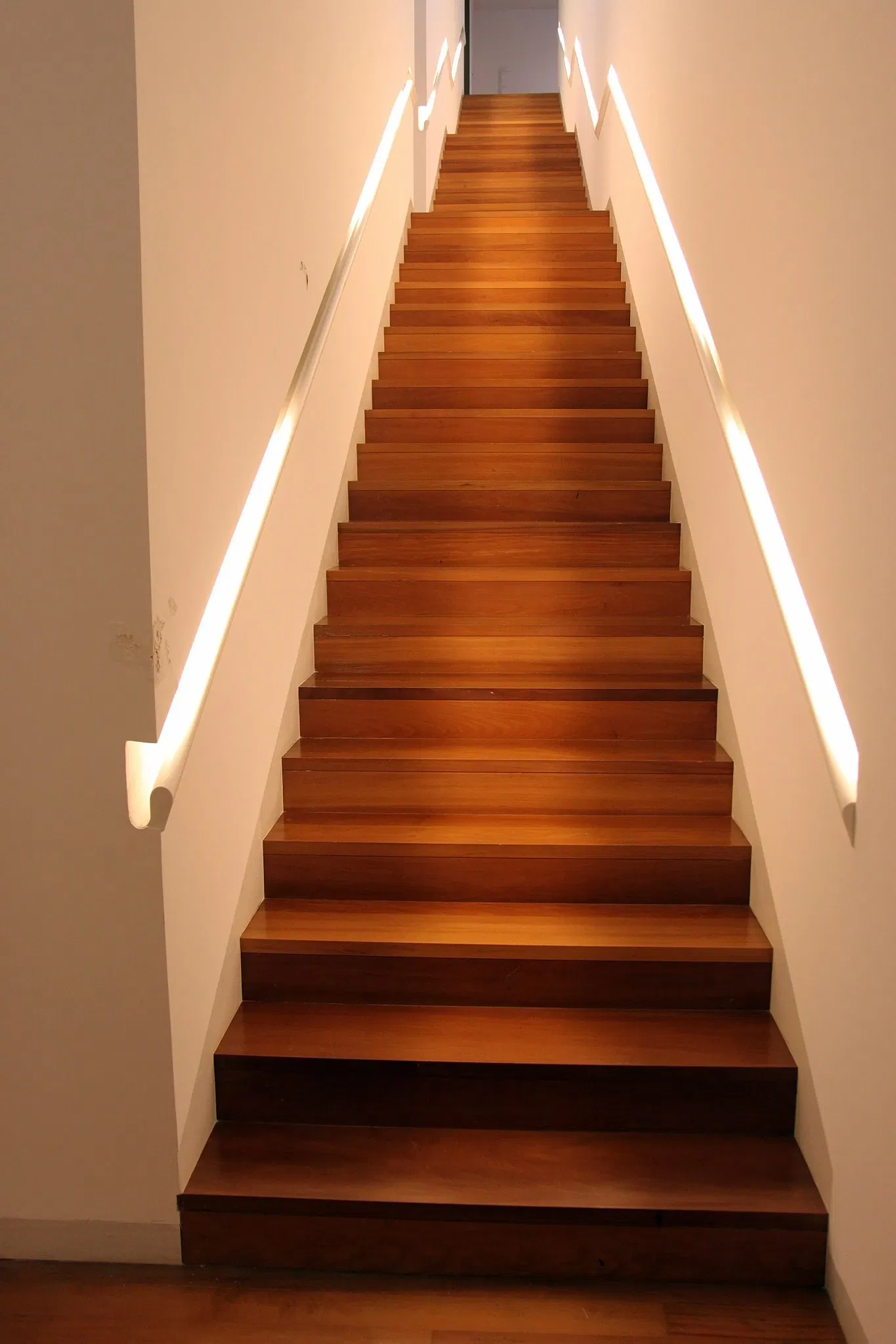 Centro das Artes - Casa das Mudas