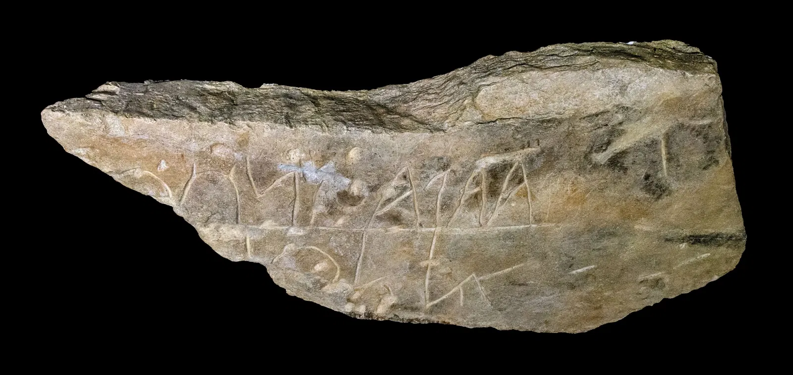 Museu da Escrita do Sudoeste