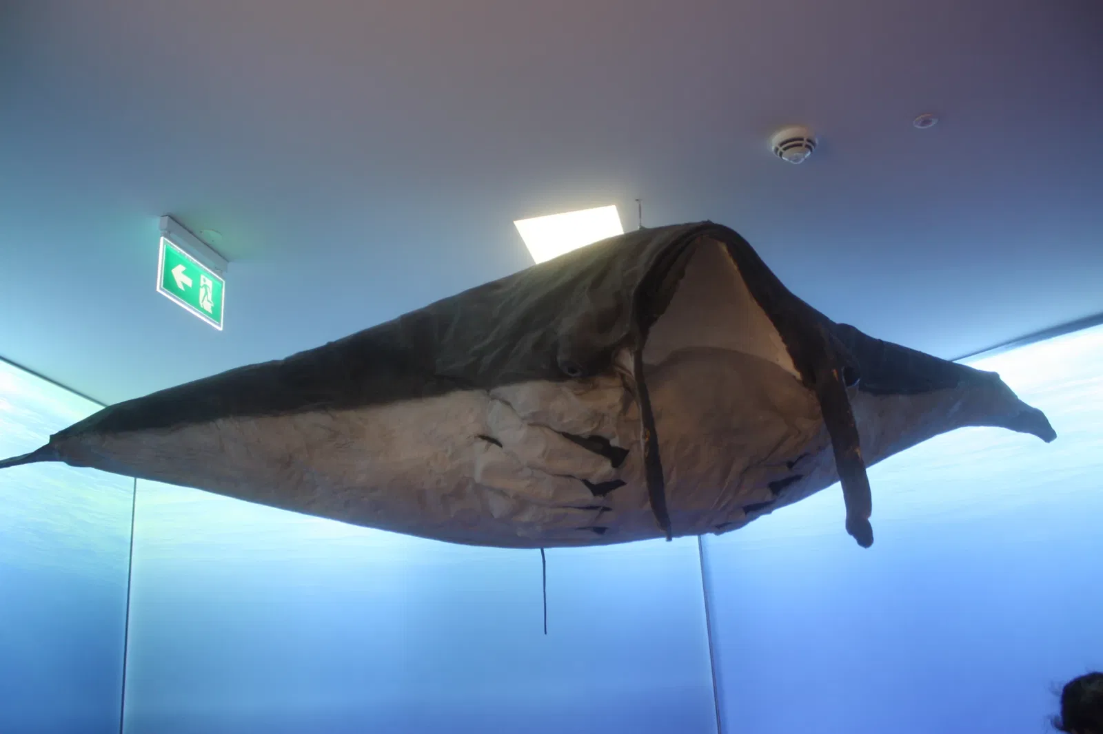 Carlos Machado Museum