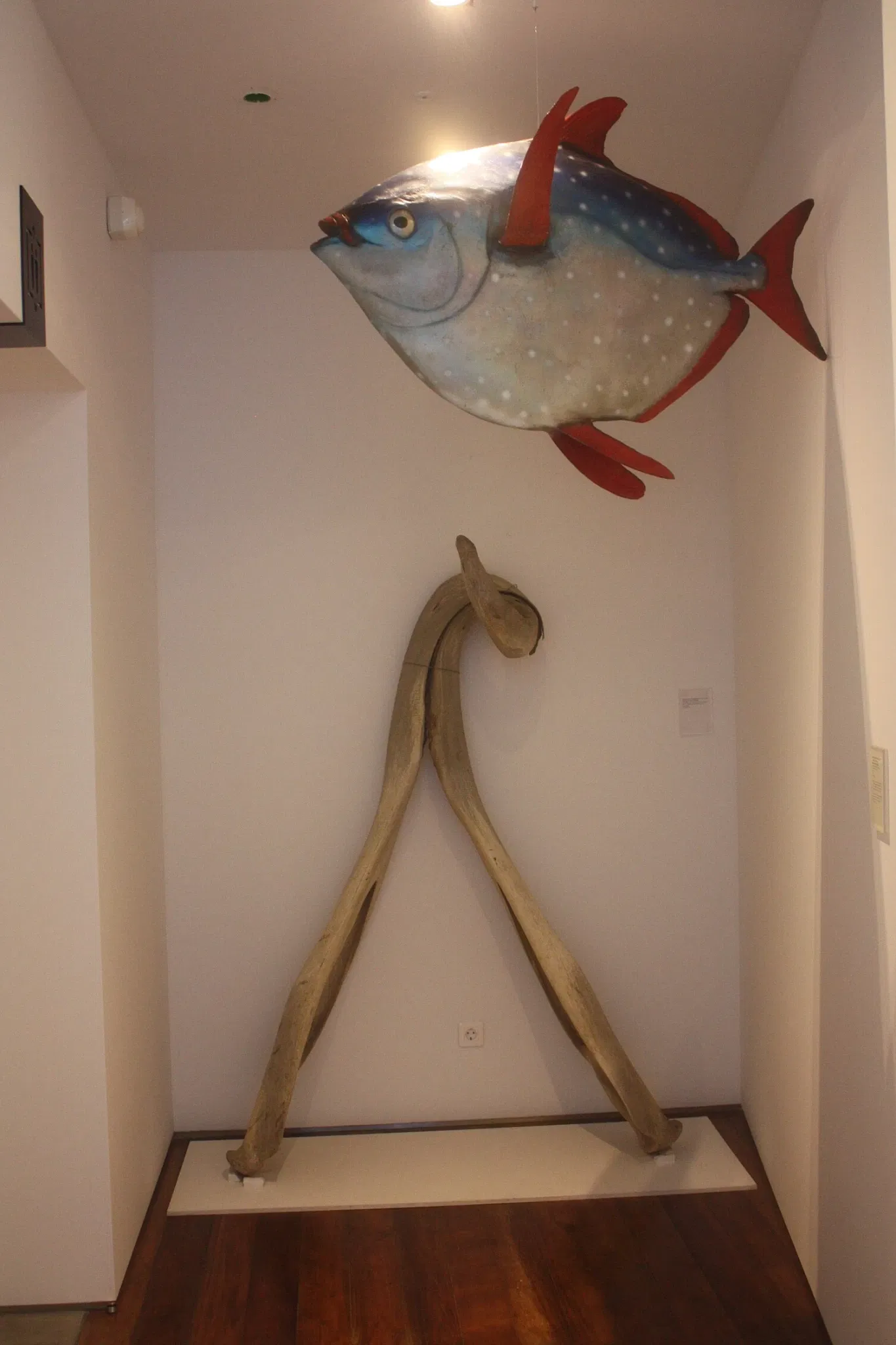 Carlos Machado Museum