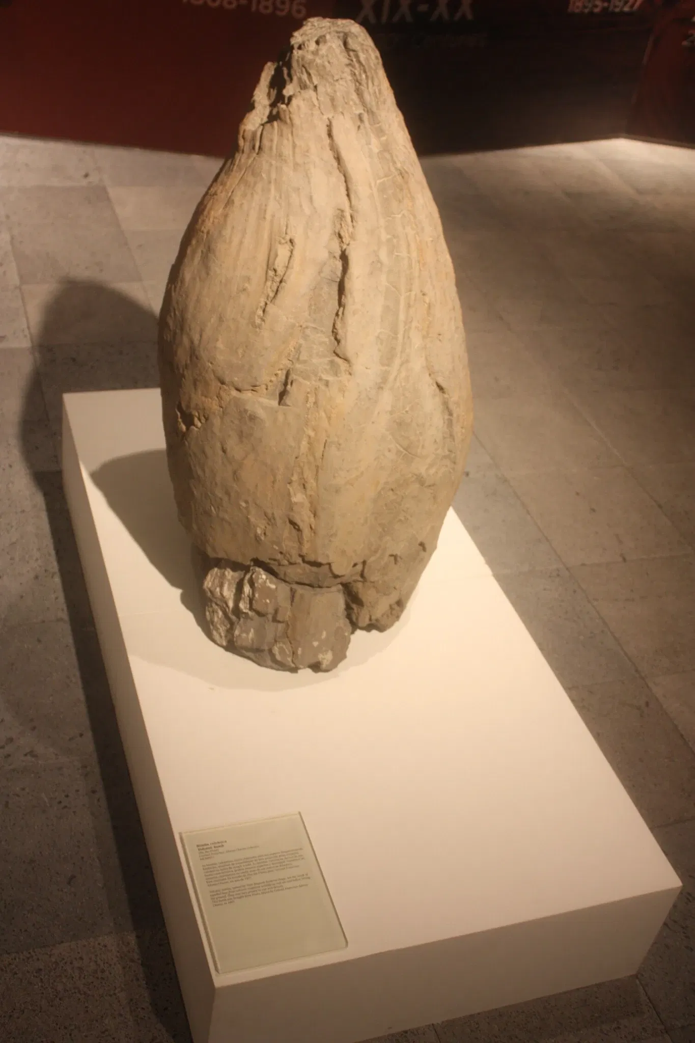 Carlos Machado Museum