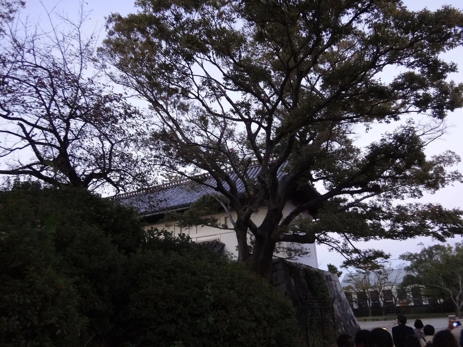 Saga Castle History Museum