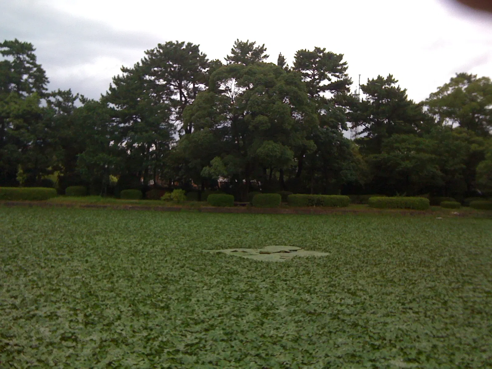 Saga Castle History Museum