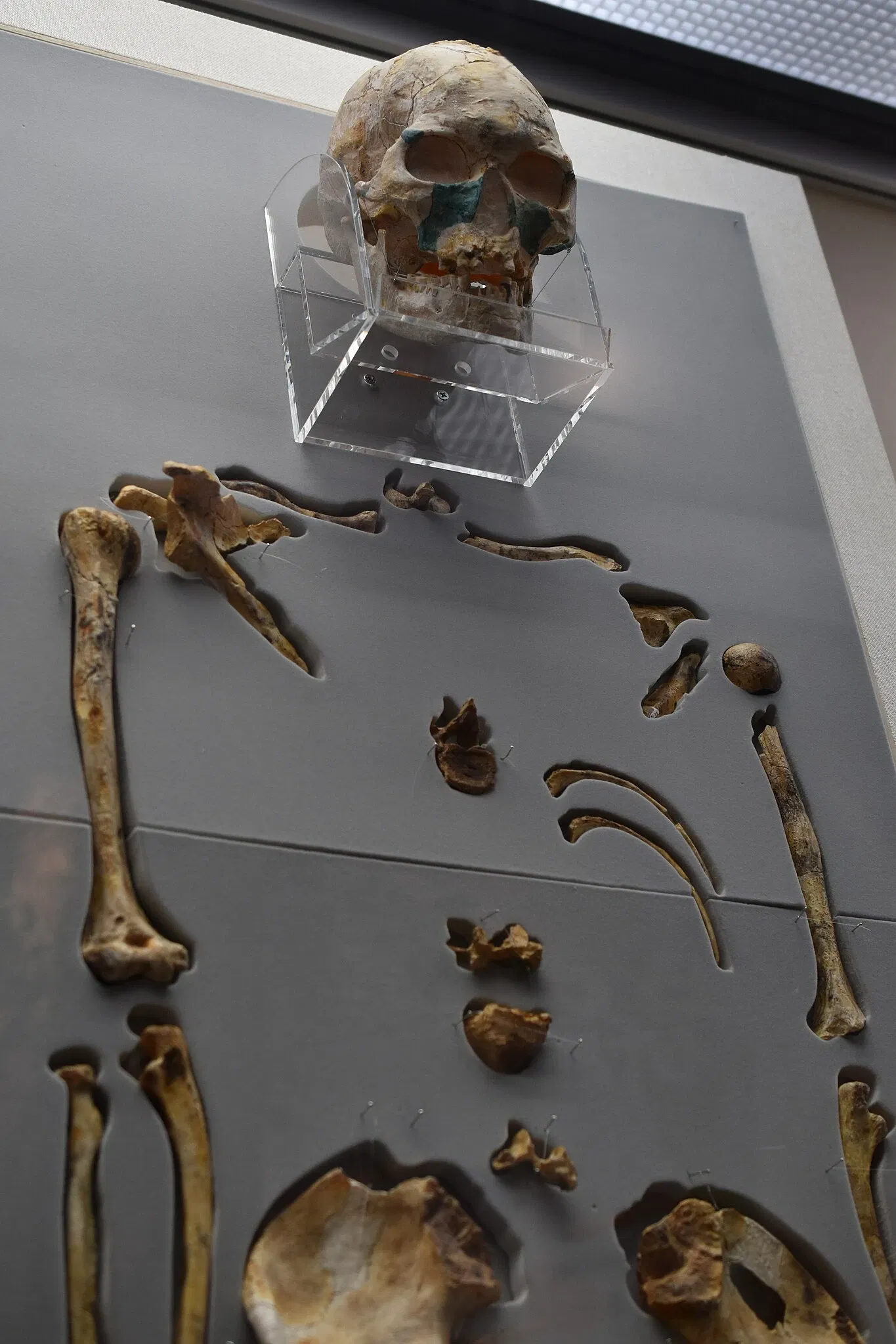 Okinawa Prefectural Museum & Art Museum