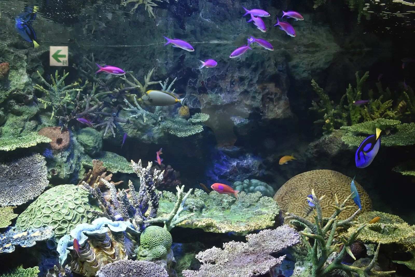 Sunshine Aquarium