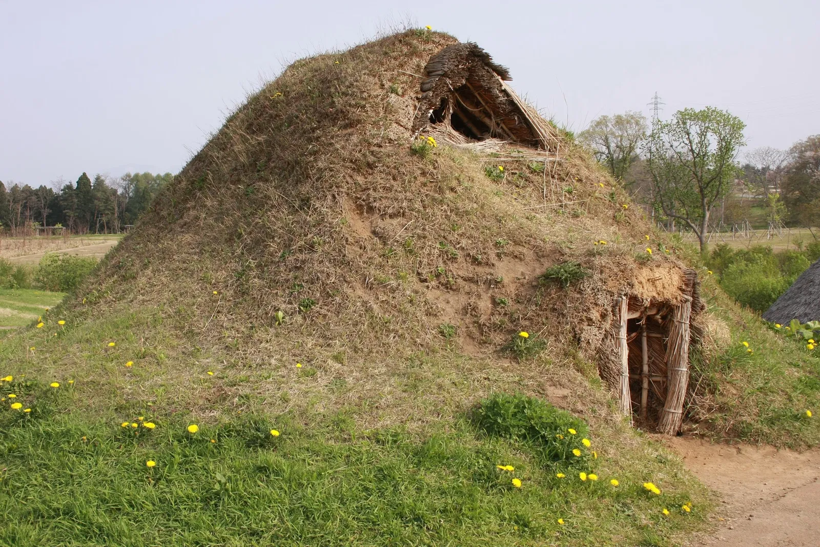 Sannai Maruyama Special Historical Site