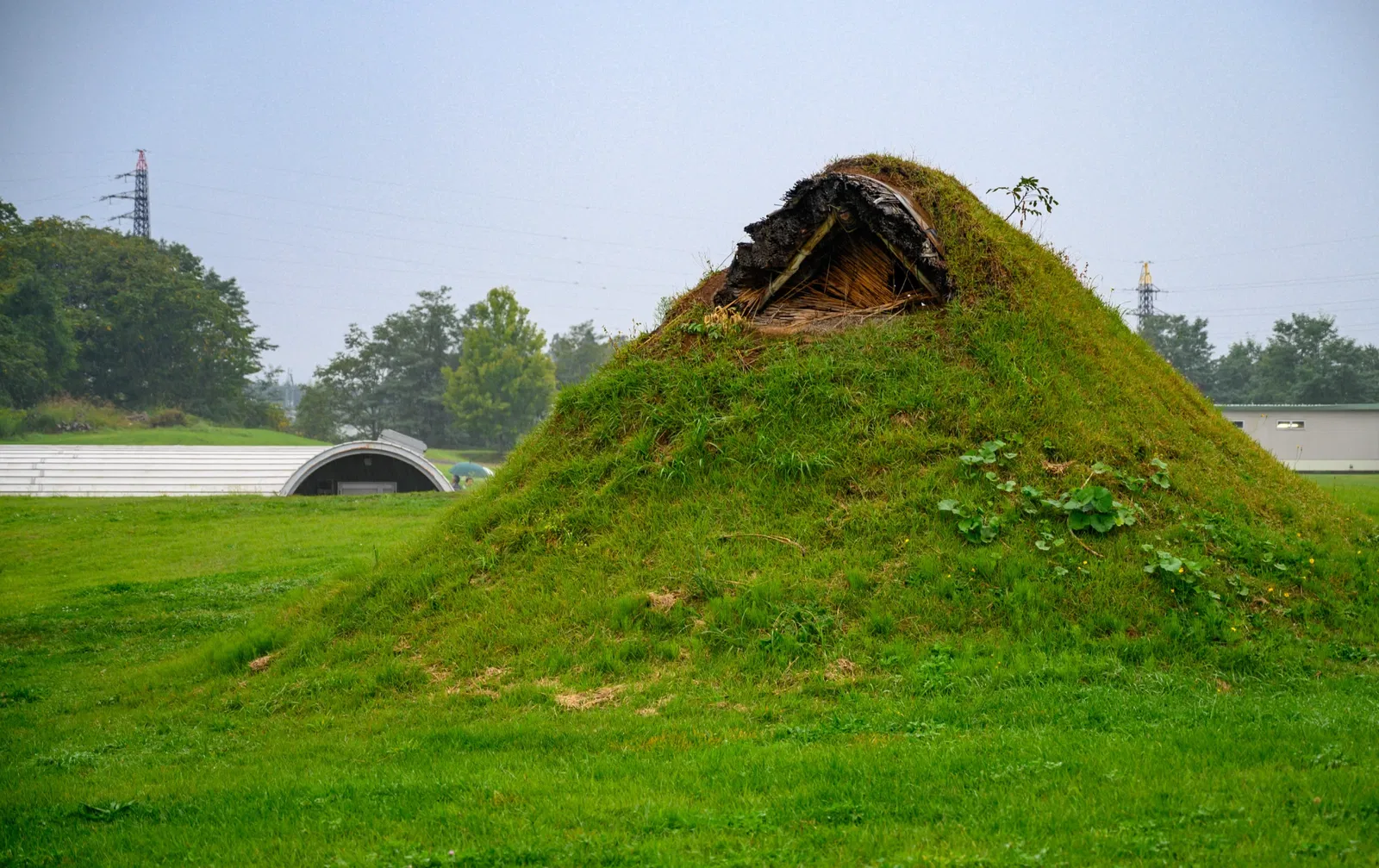 Sannai Maruyama Special Historical Site