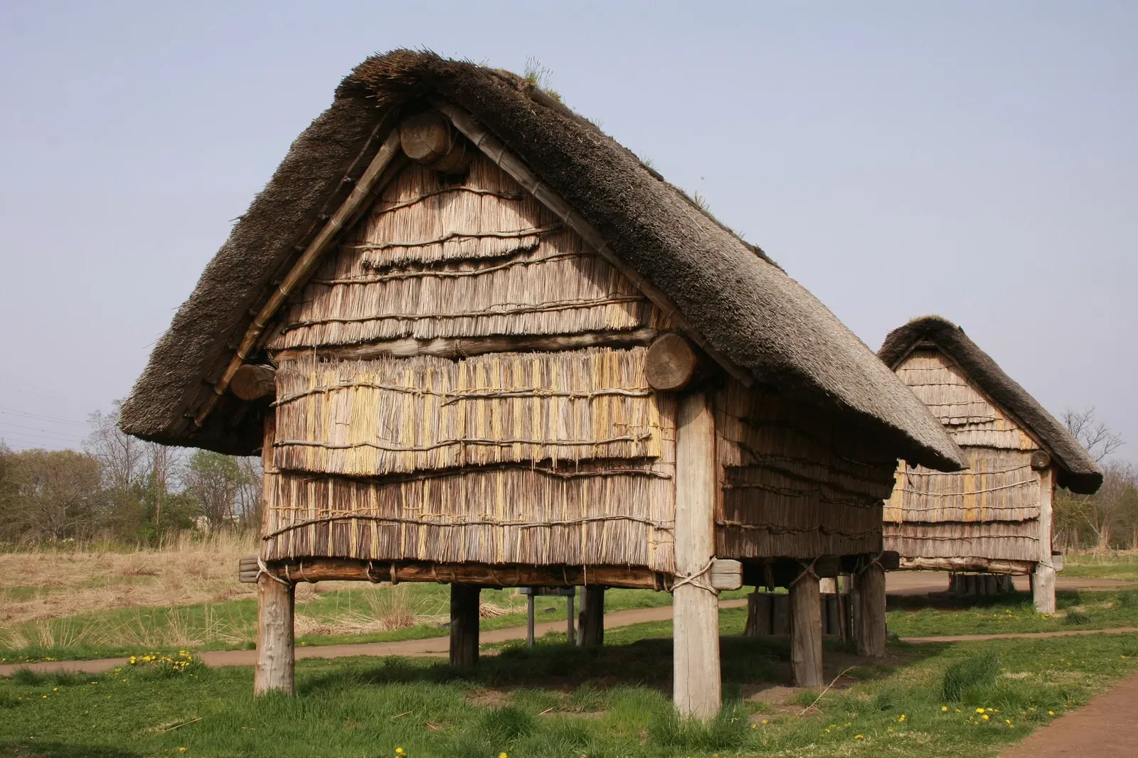 Sannai Maruyama Special Historical Site
