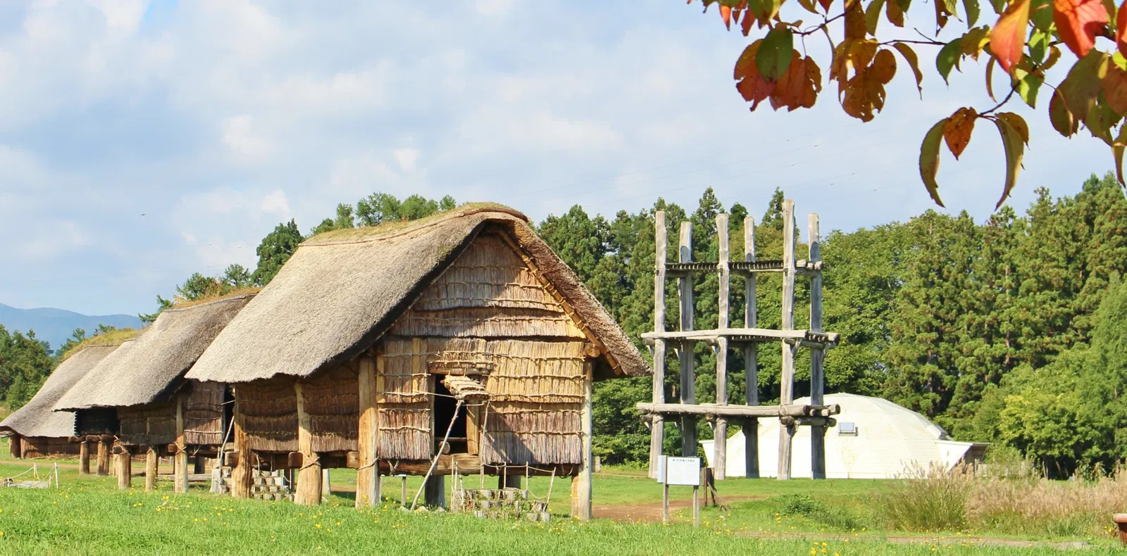 Sannai Maruyama Special Historical Site