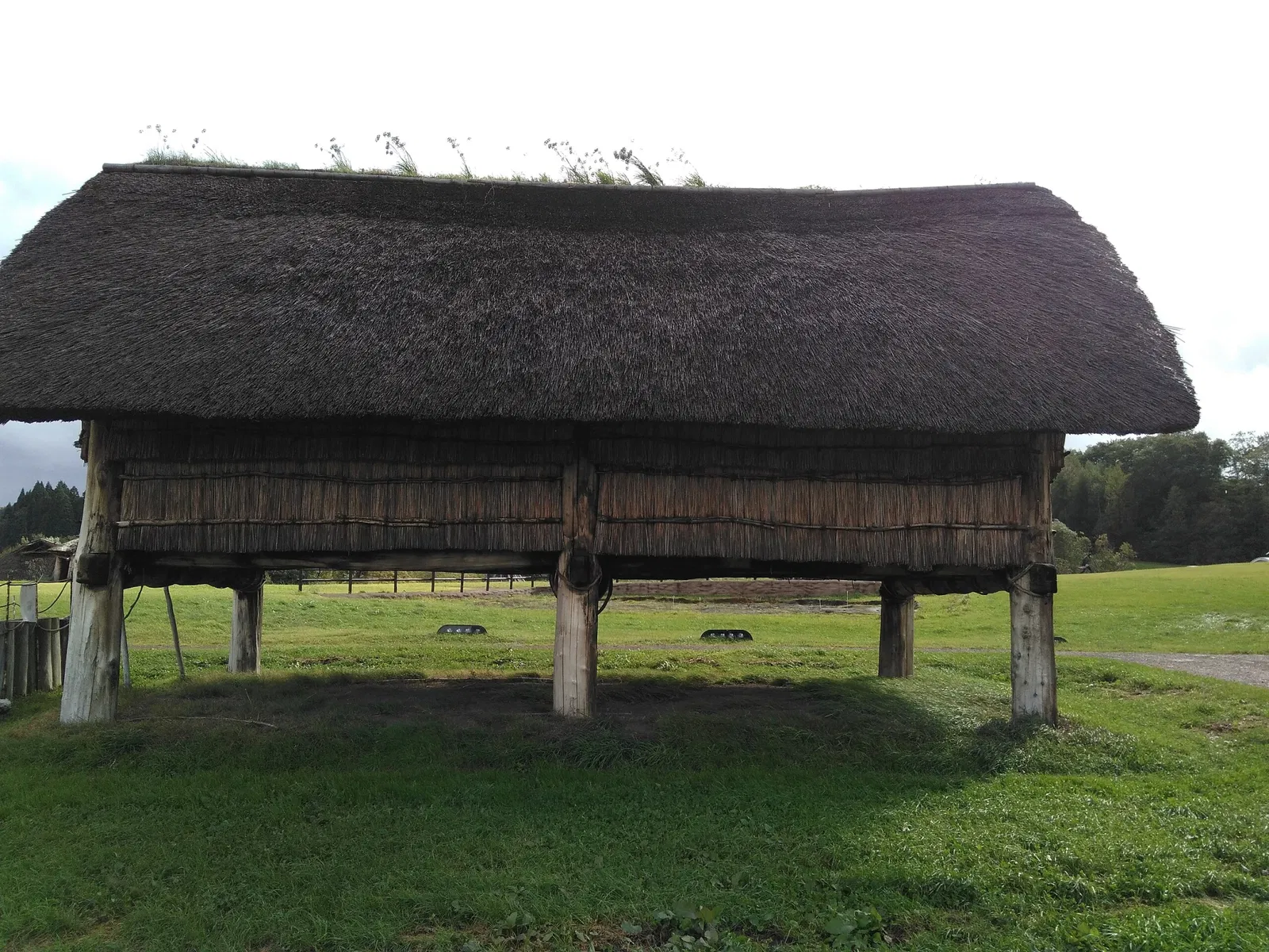 Sannai Maruyama Special Historical Site
