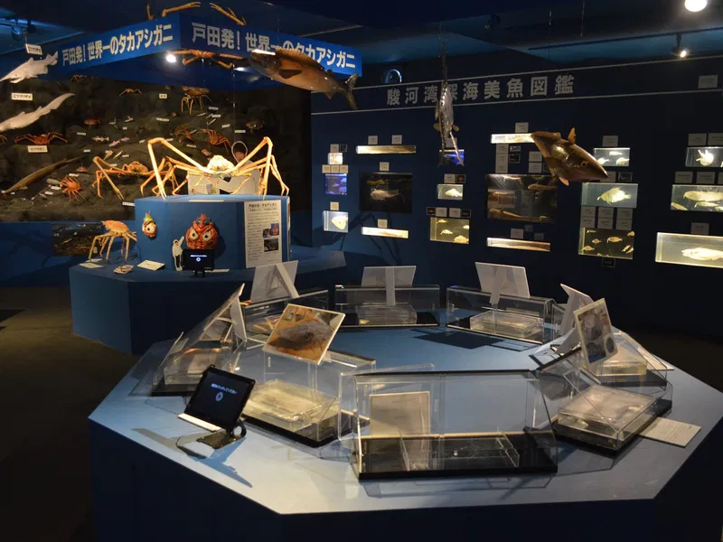 Heda Tank Heda Shipyard Museum of History and Folklore (Numazu) - Visitor ...