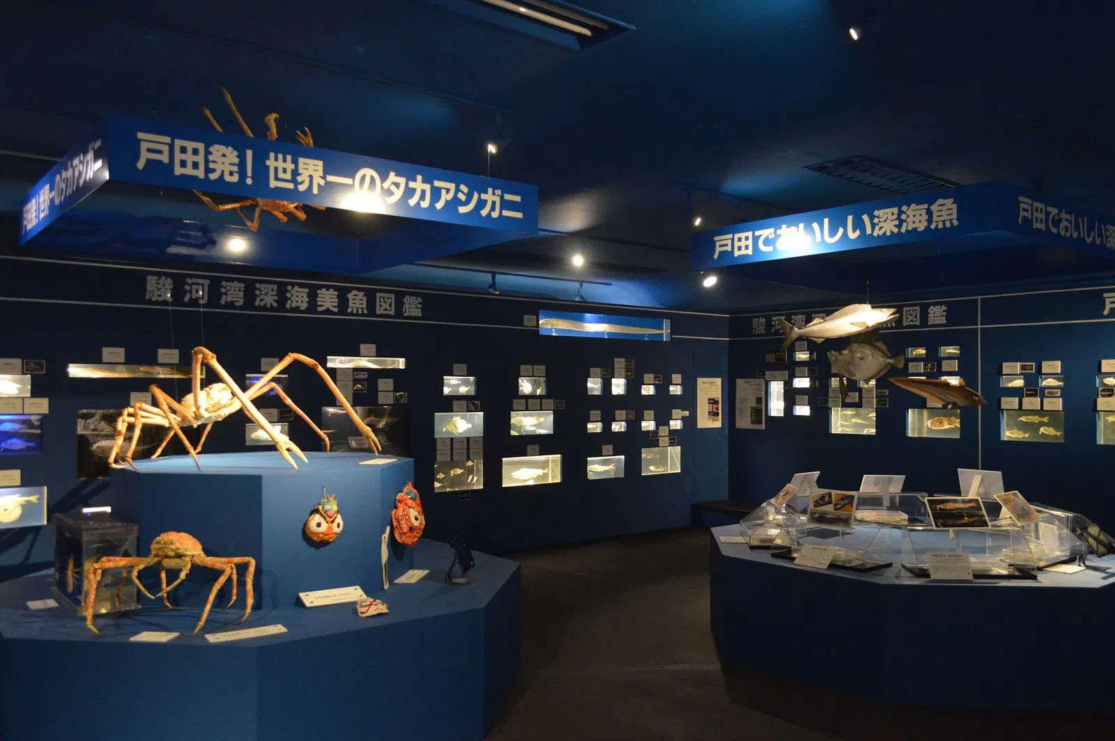 Heda Shipyard Museum of History and Folklore