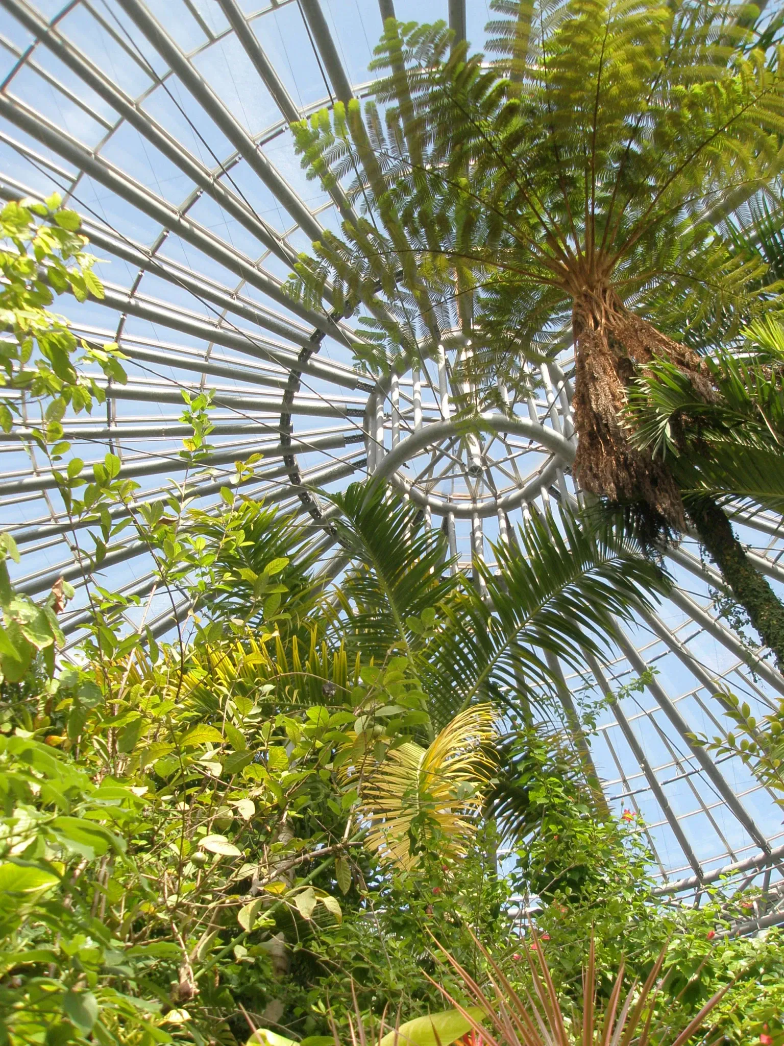 Chiba City Floral Museum