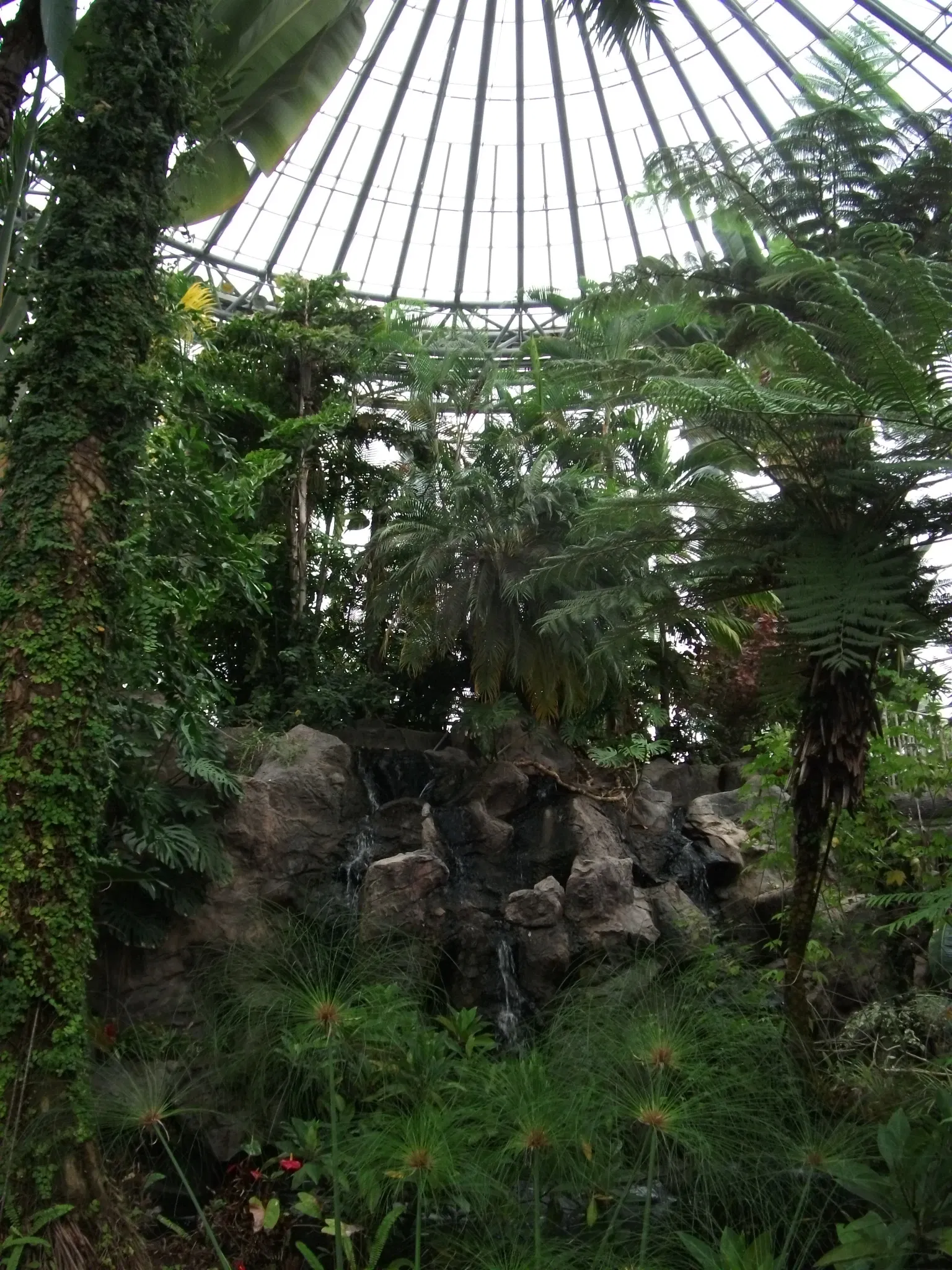 Chiba City Floral Museum