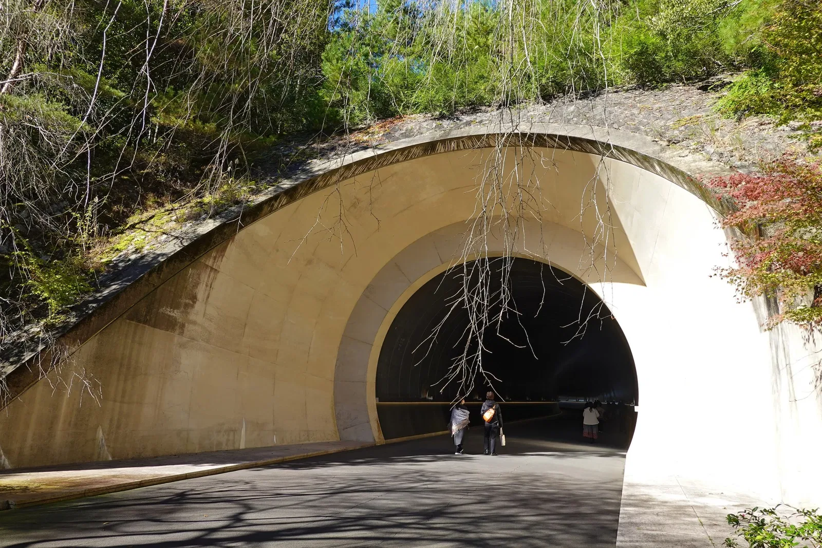Miho Museum