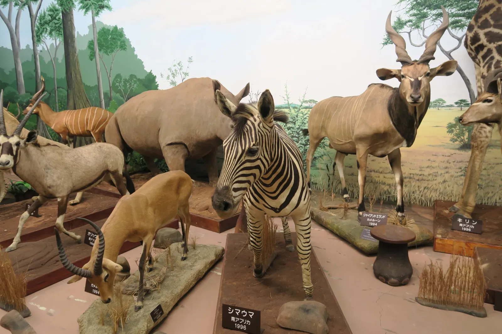Shiga Safari Museum
