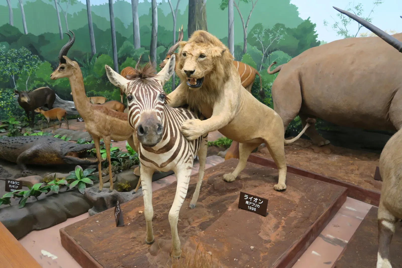 Shiga Safari Museum