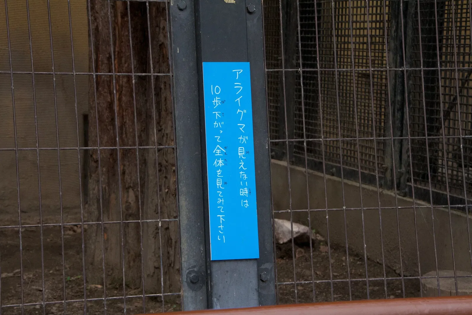 Asahiyama Zoo