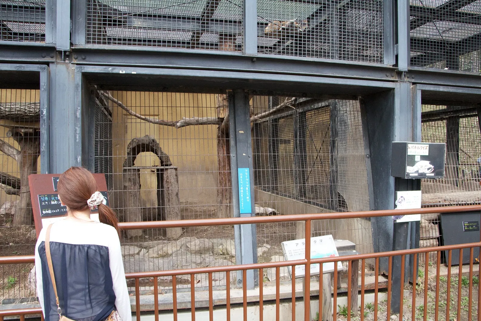 Asahiyama Zoo