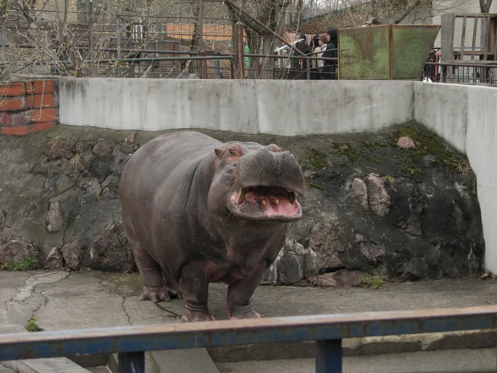 Asahiyama Zoo
