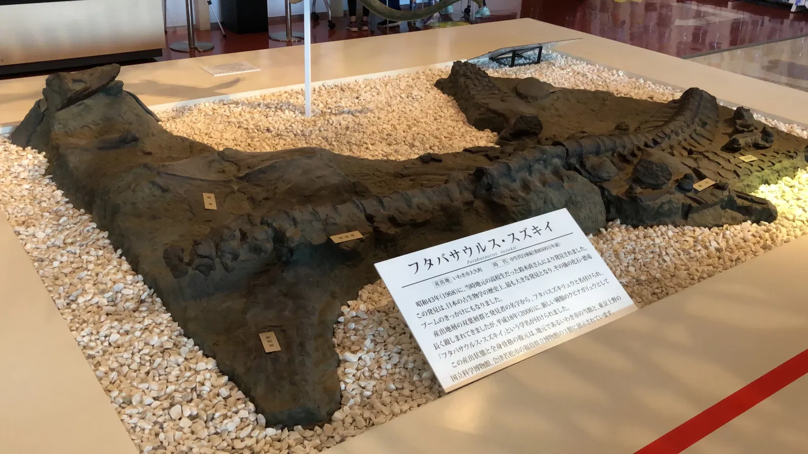 Iwaki City Coal & Fossil Museum