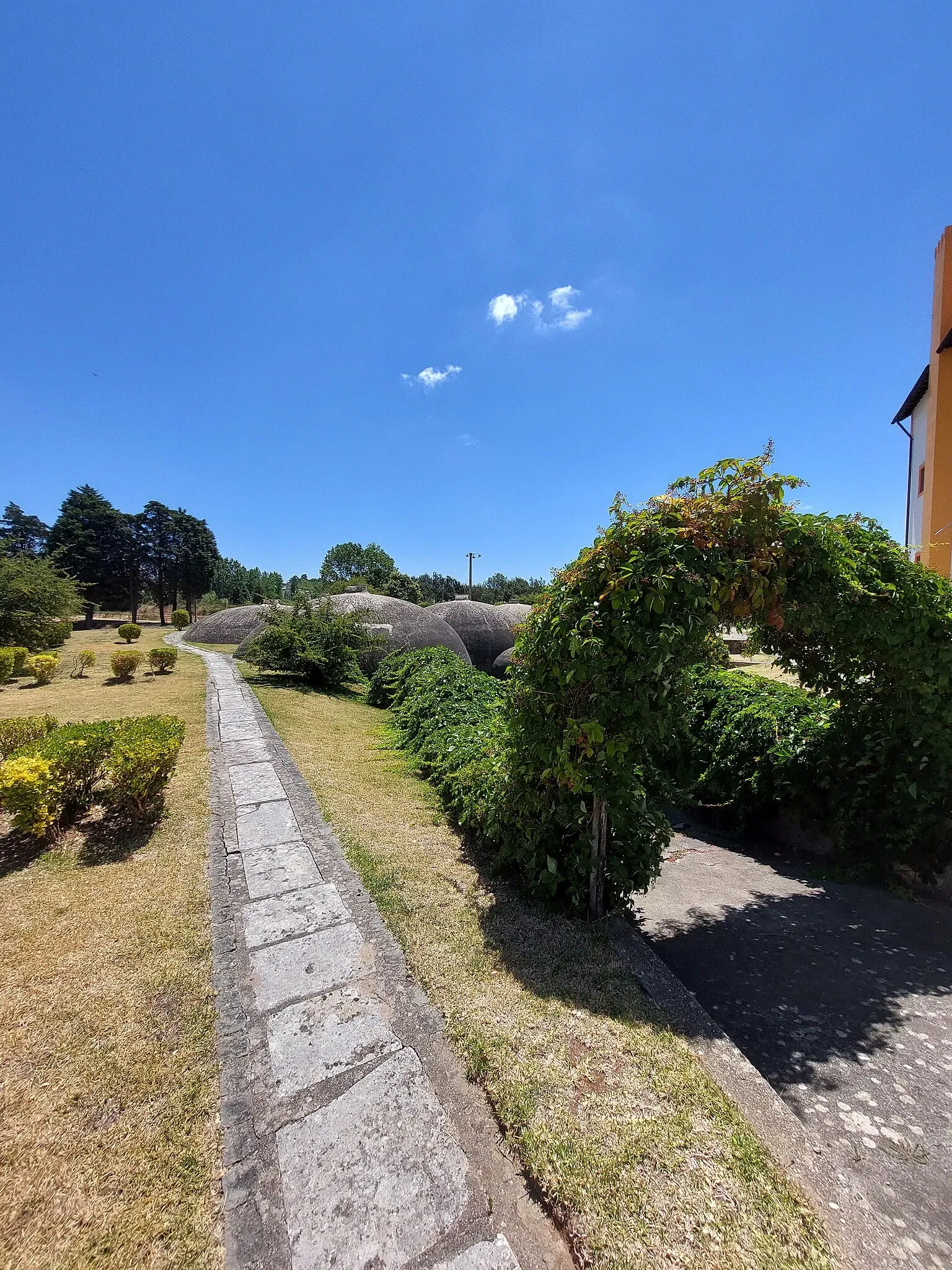 Museu do Vinho de Alcobaça
