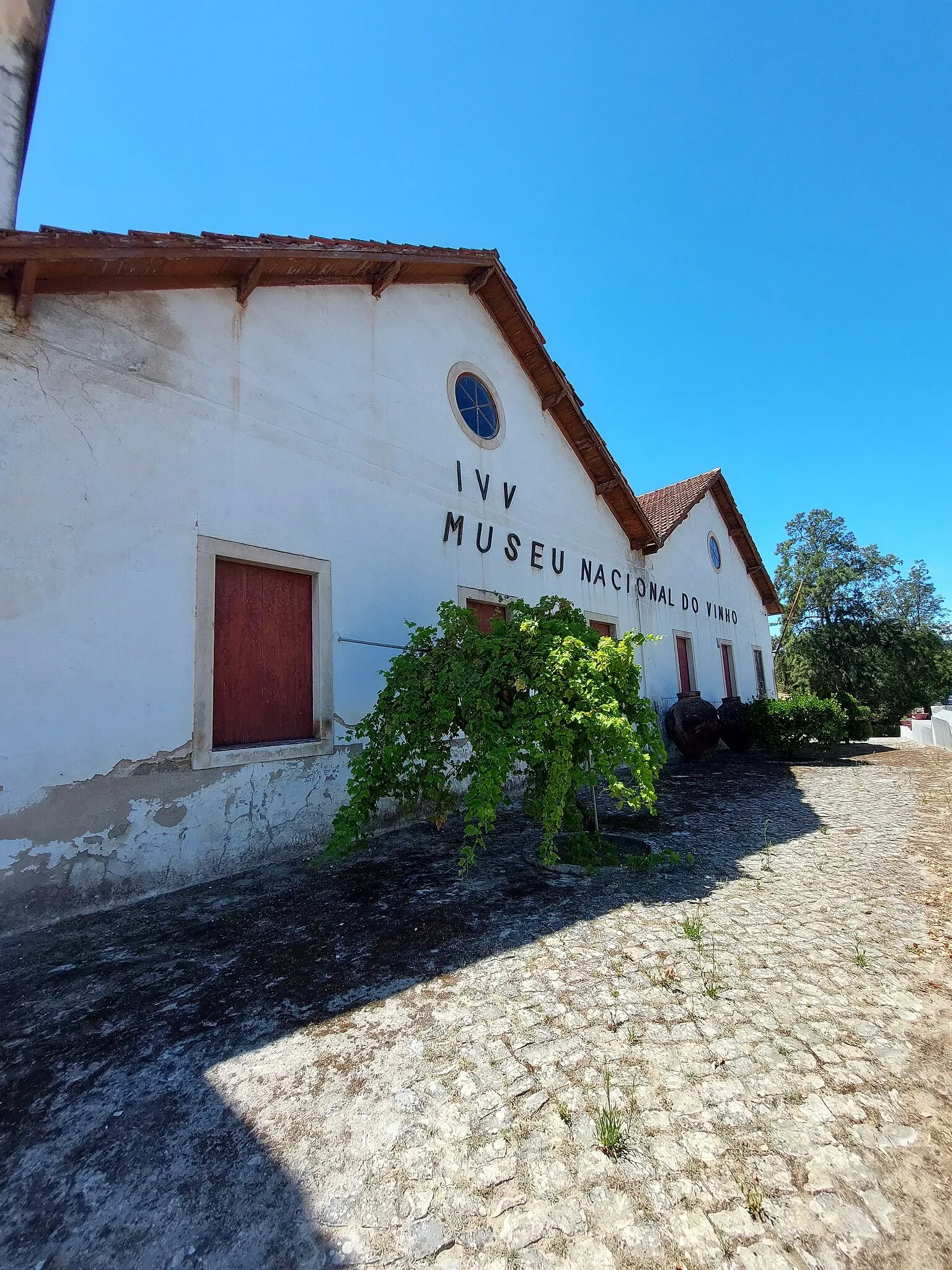 Museu do Vinho de Alcobaça