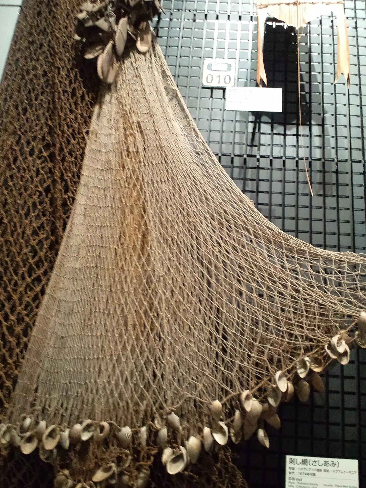 National Museum of Ethnology