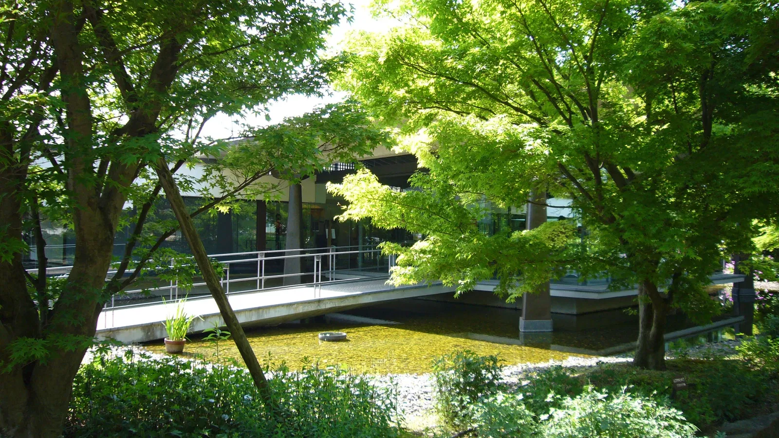 The Tale of Genji Museum