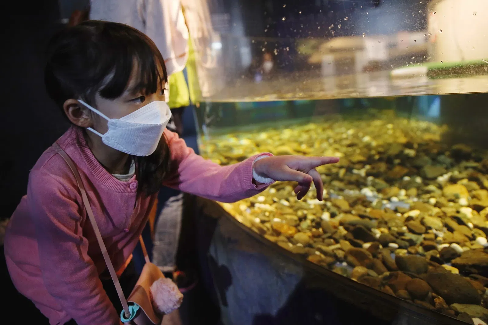 Salmon Hometown Chitose Aquarium