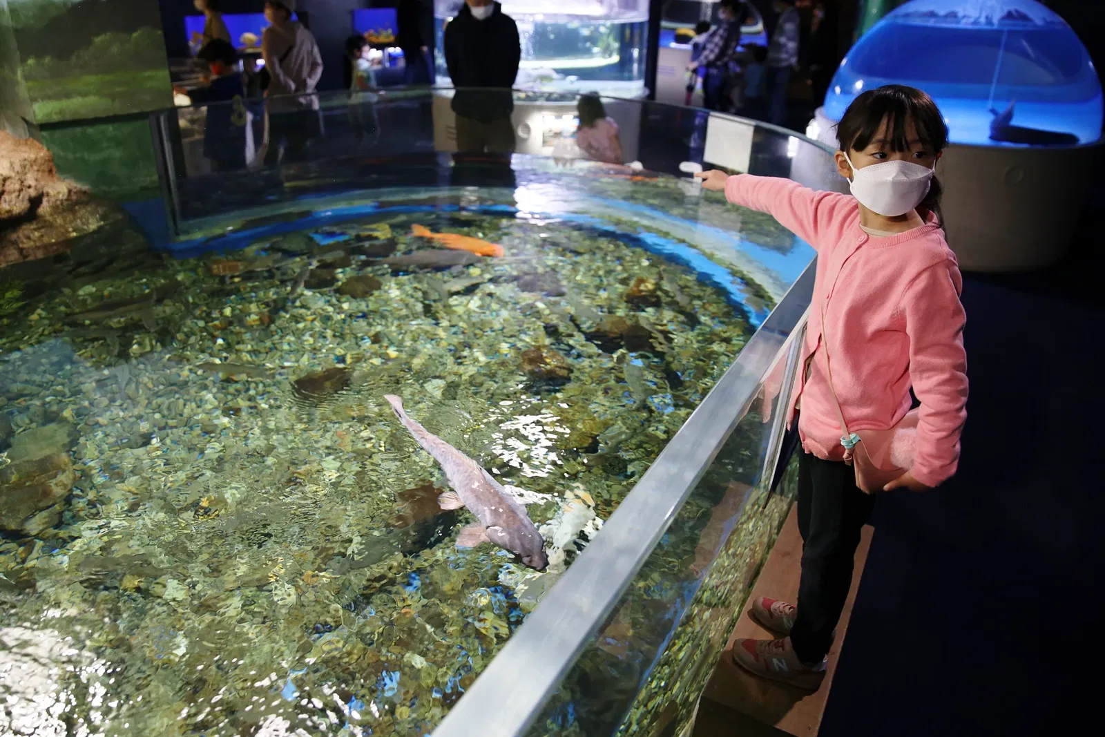 Salmon Hometown Chitose Aquarium