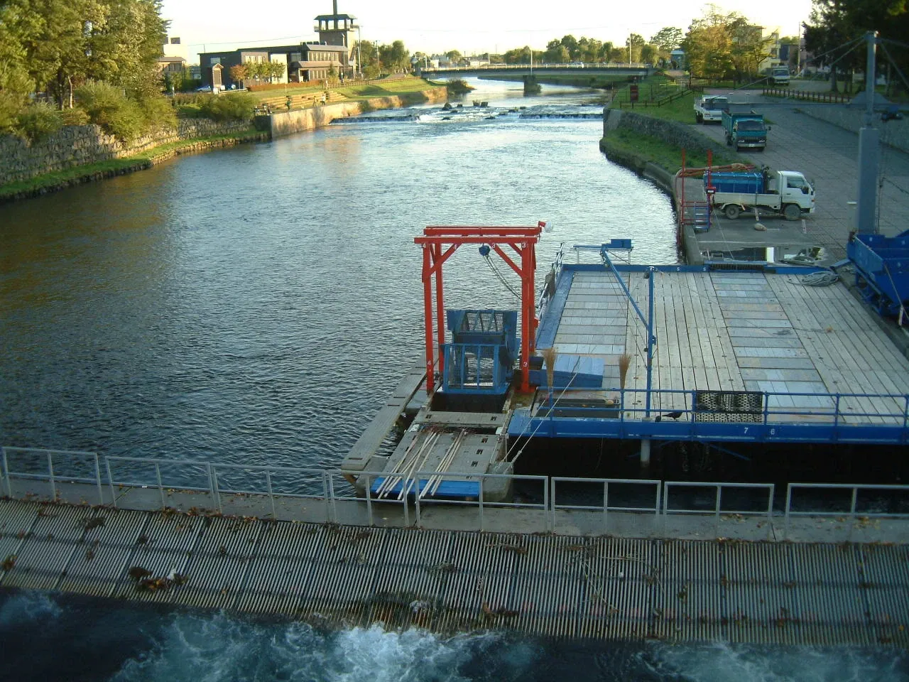 Salmon Hometown Chitose Aquarium